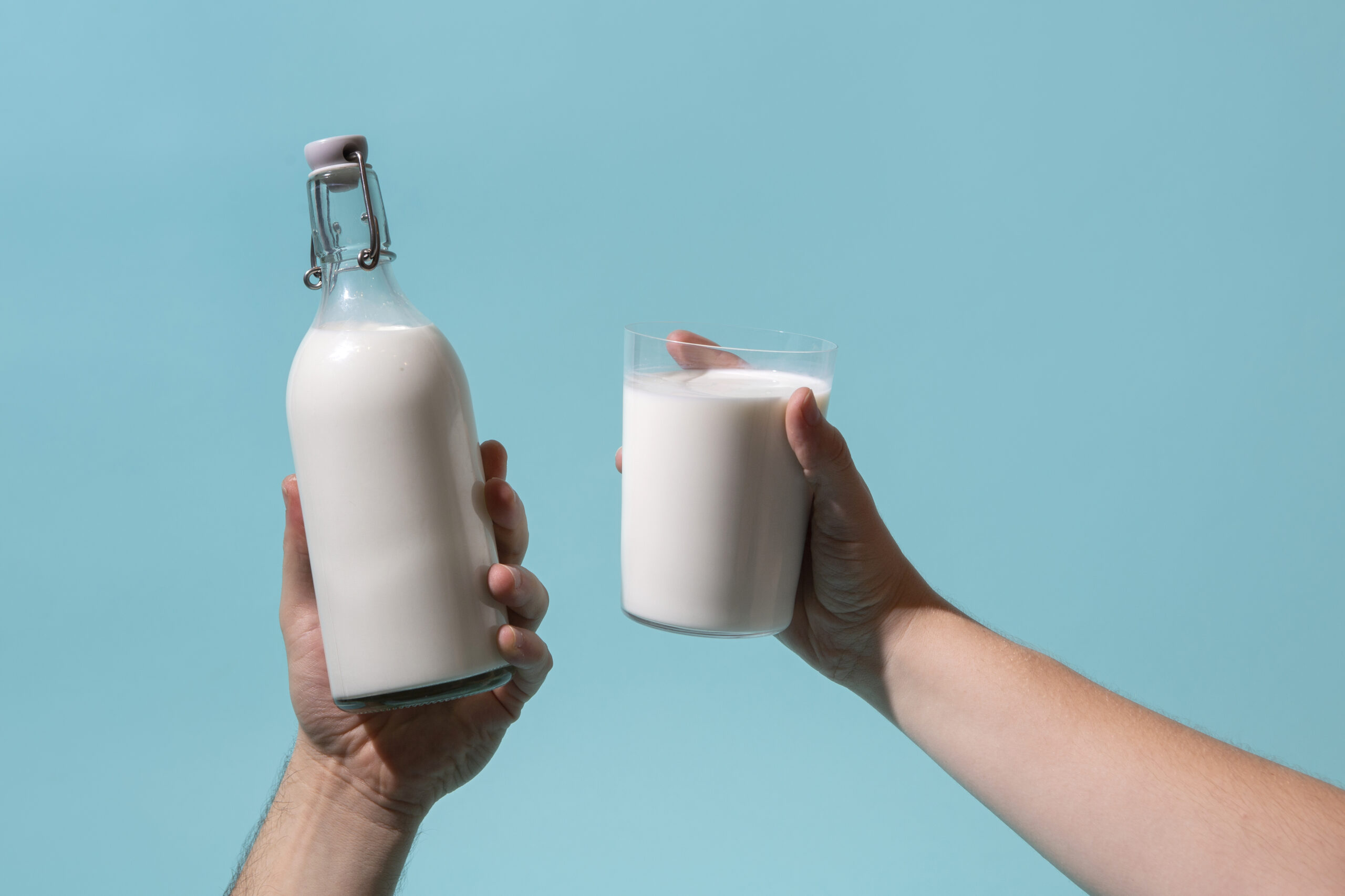 Milk Processing Plants Equipment