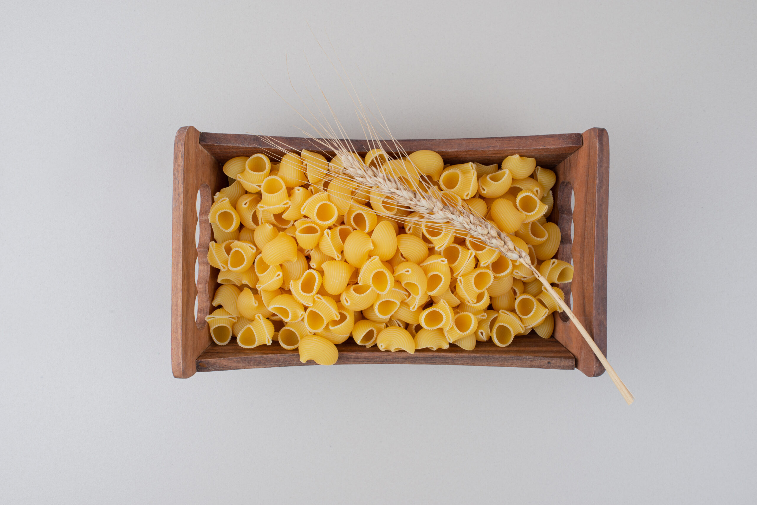 Food Processing Equipment